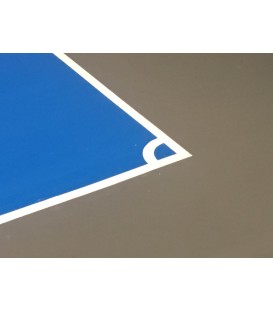 COLOR finish epoxy paint